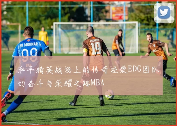 和平精英战场上的传奇逆袭EDG团队的奋斗与荣耀之路MBA