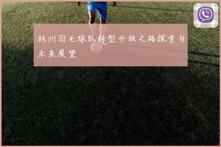 杭州羽毛球队转型升级之路探索与未来展望