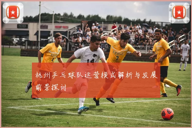 杭州乒乓球队运营模式解析与发展前景探讨