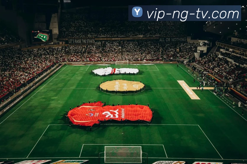 NG南宫大舞台APP 封面图